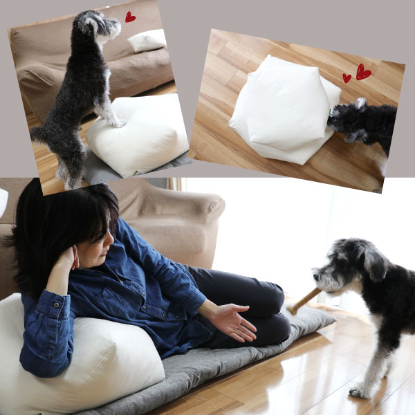 家族みんなで使えるクッション 家族みんなで使えるクッション