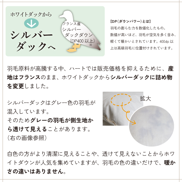 シルバーダックに変更 シルバーダックに変更